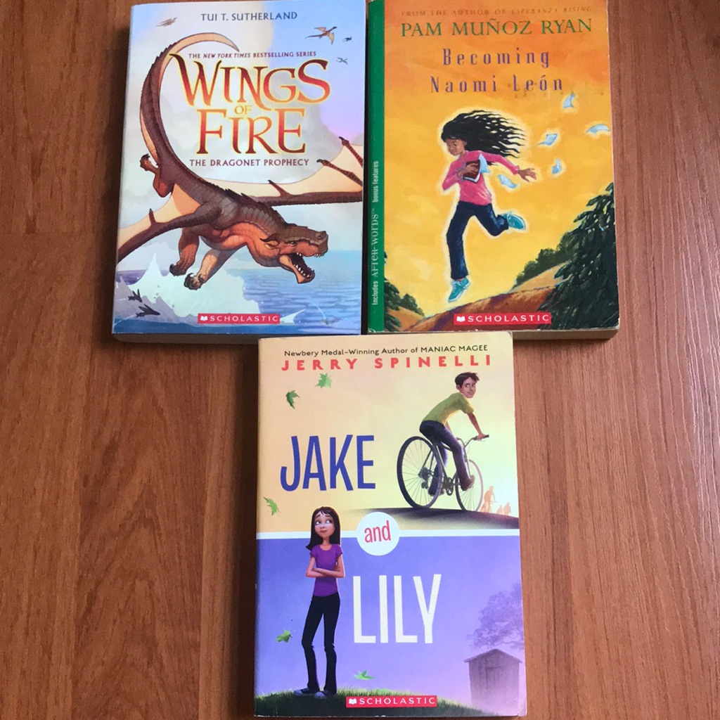 Chapter Book Bundle